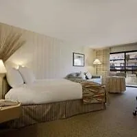 Resort Hilton Palm Springs Hotel