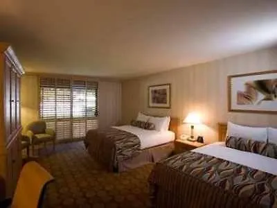 Hotel Hilton Palm Springs